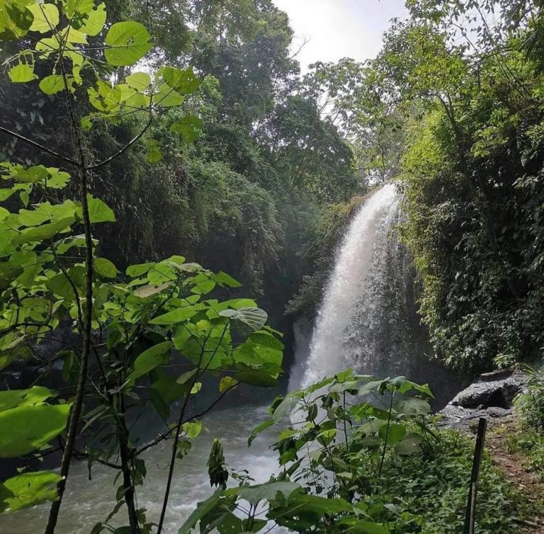 Tenexamaxa: la cascada que susurra leyendas entre las montañas de Veracruz