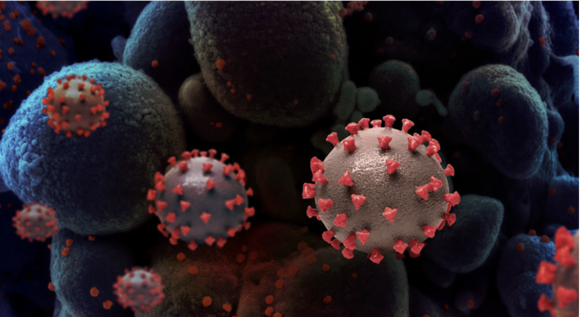 La variante nimbus del COVID-19 se propaga con rapidez y preocupa a expertos
