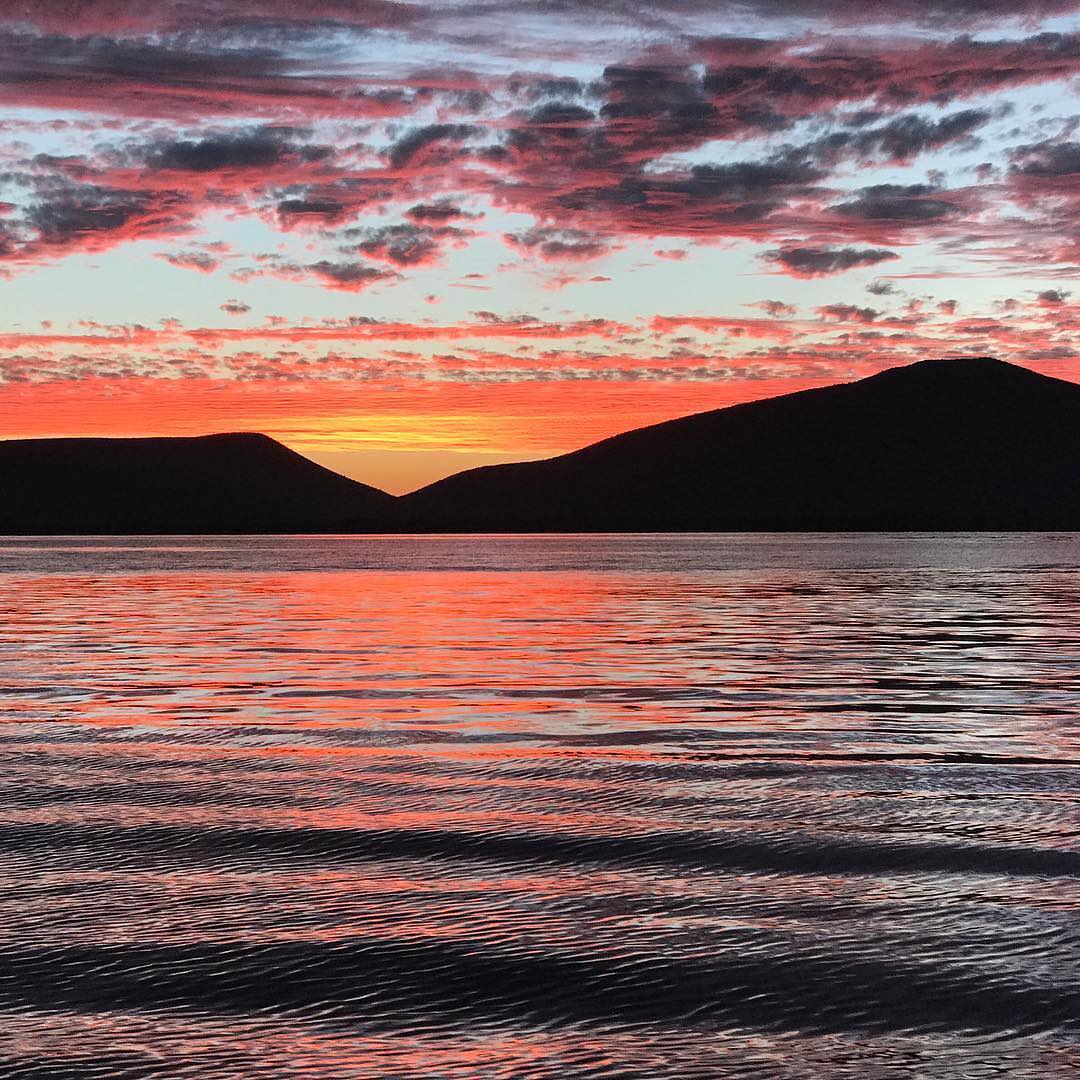 Descubre Los Mochis este verano: delfines, mariscos y el tren más espectacular de México