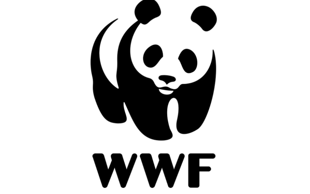 Pilar Jacobo, nueva Directora de Conservación de WWF México